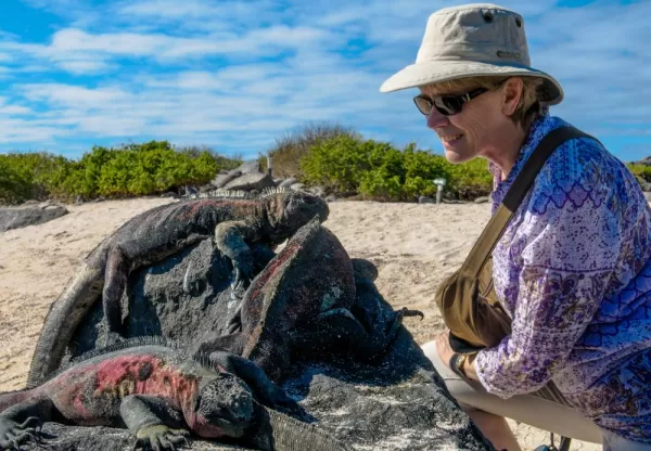 A traveler getting up close and personal with some lizards relaxing on a rock.