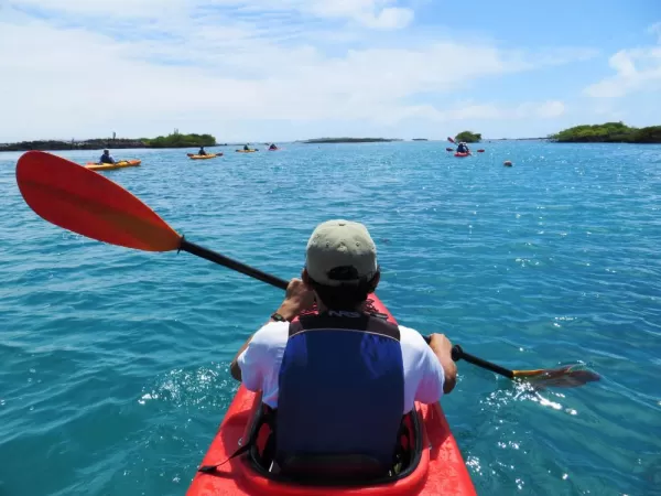 Enjoy seeing these unique island from the seat of your kayak.