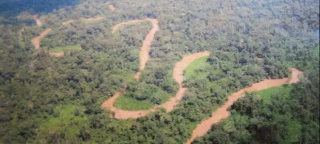 Amazon river from the airplane
