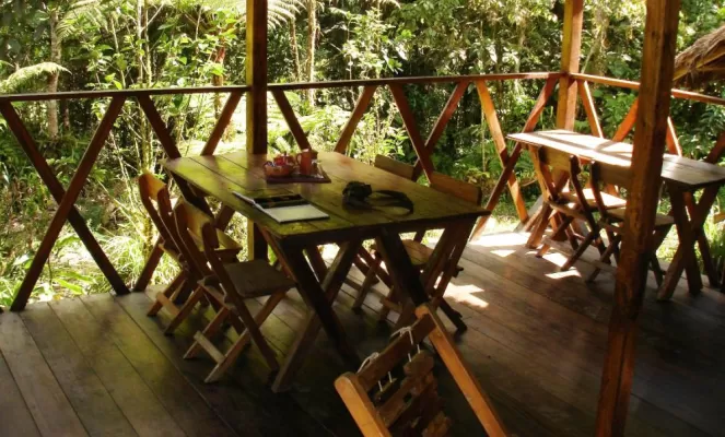 Tambo Patiti Jungle Lodge