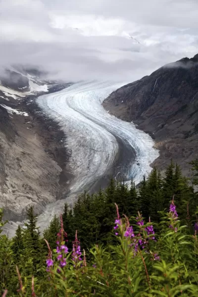 A glacier creates a natural highway as it curves across the Alaskan landscape