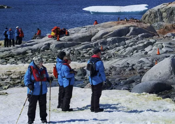 Stop to admire the penguins as they hop about the Antarctic peninsula
