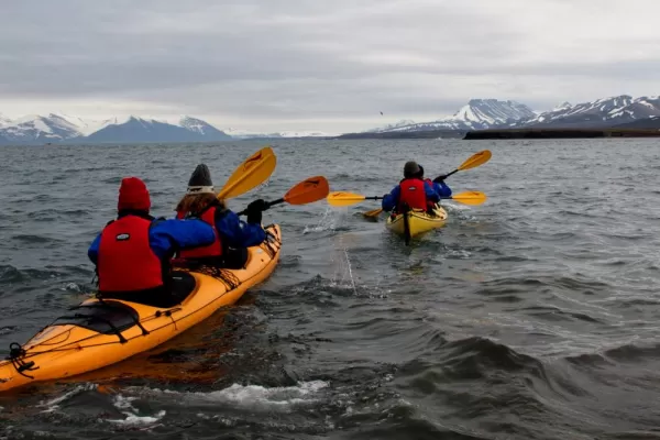 Take advantage of your ship's kayaking excursion