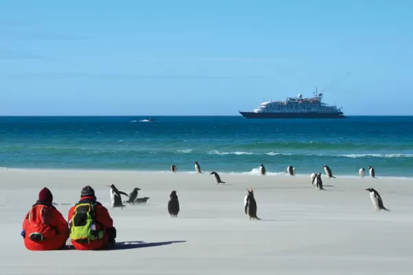 Your Sea Spirit adventure will bring you into close contact with Polar wildlife