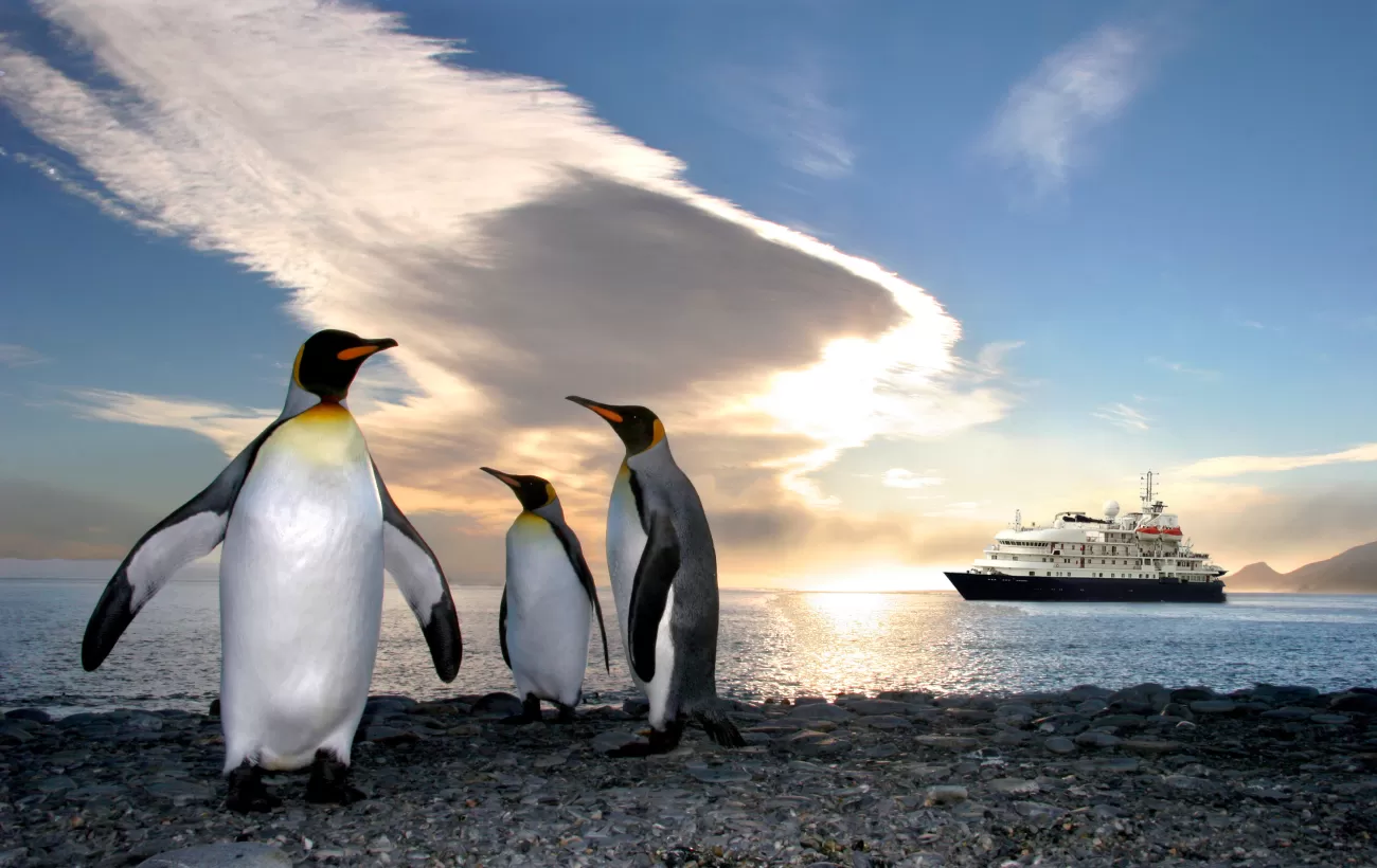 Penguins pose in front of the Sea Spirit
