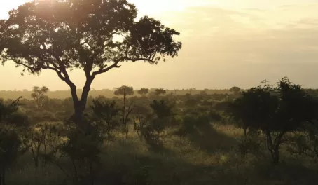 The sun sets over Kruger National Park