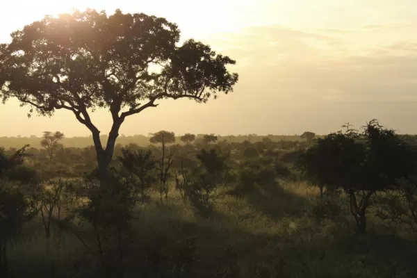 The sun sets over Kruger National Park