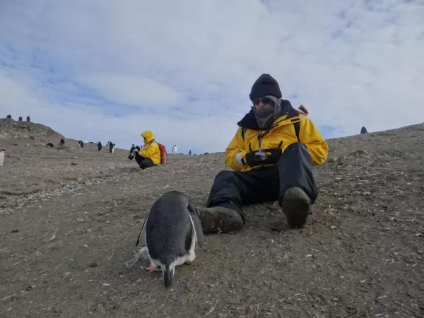 Barrientos Island: More penguin attention with my brother