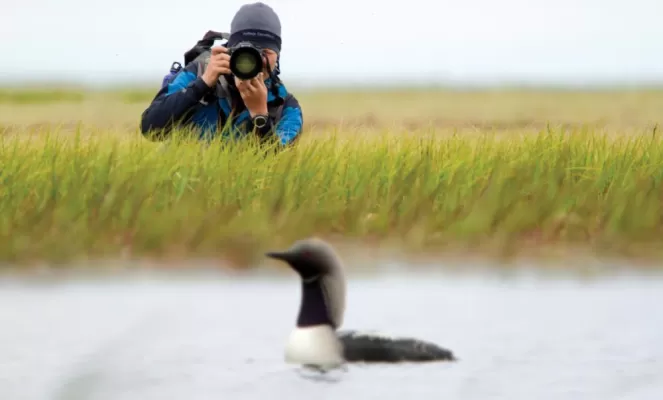 A photographer quietly oberves a local bird