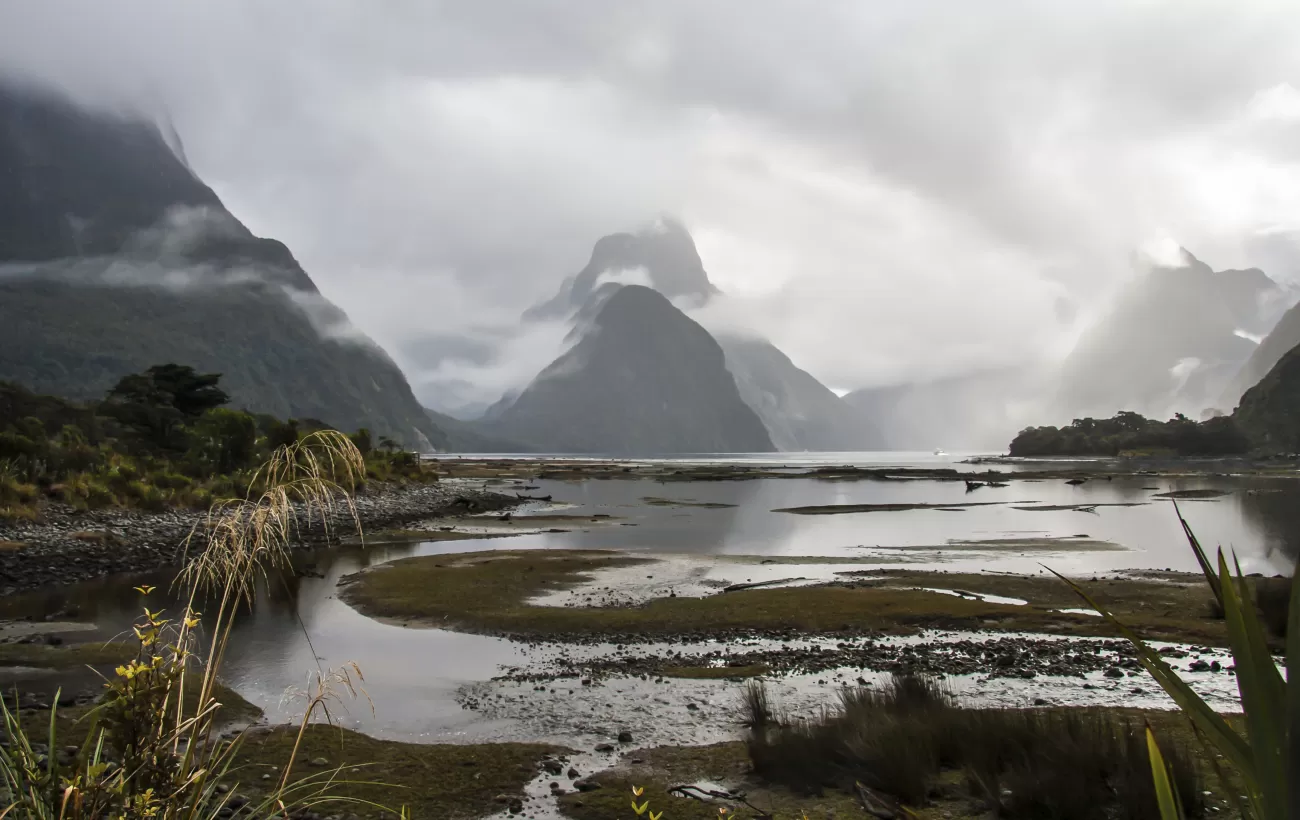 Explore New Zealand's stunning Milford Sound