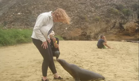 a sea lion trying to sniff Brendas knee