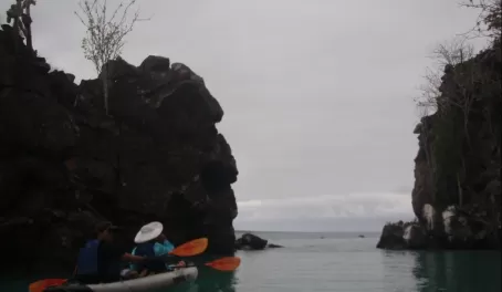 kayaking around Santa Cruz