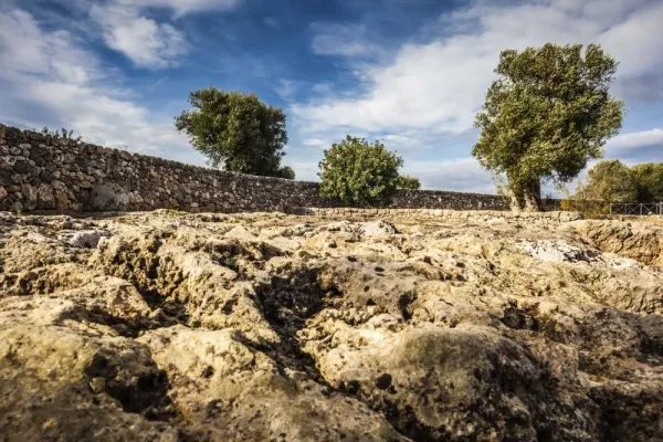 Olive trees line ancient stone walls