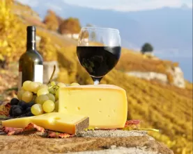 Delicious cheeses and wines enjoyed at a vineyard