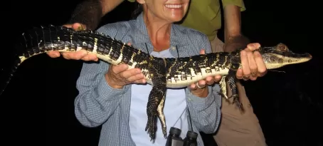 With a small crocodile