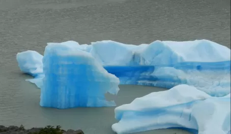 Icebergs - Grey Glacier
