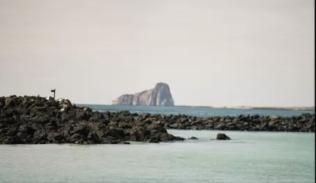 Our trip to the Galapagos