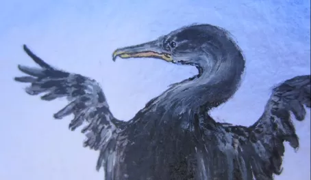 acrylic, flightless cormorant, detail