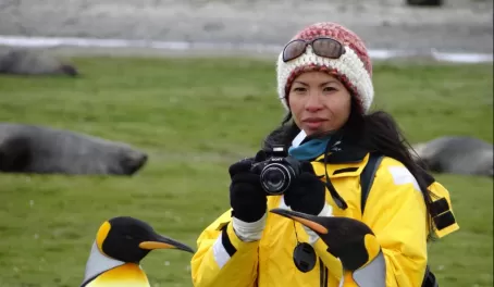 Get up close with king penguins