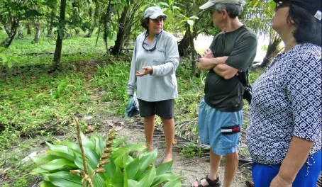 Our guide explains flora and fauna on Cayo Zapatilla national park