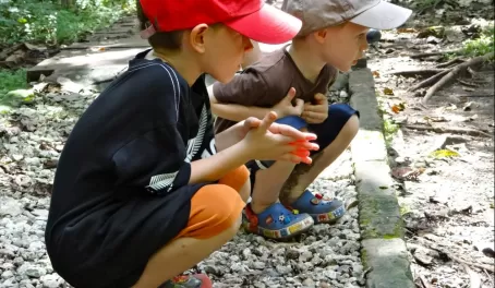 boys watching the turtles at the park in Panama City