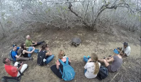 A tortoise came out of the bushes to meet us!