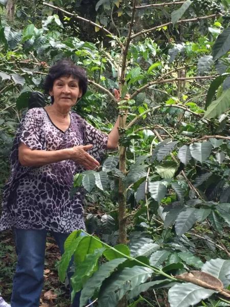 Marleni showing off her organic coffee plants