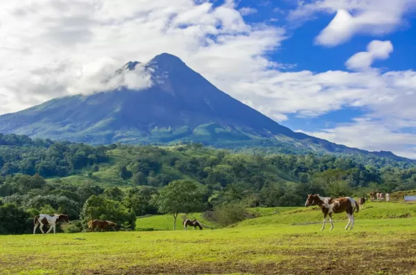 Horses on pasture near Arenal Volcano