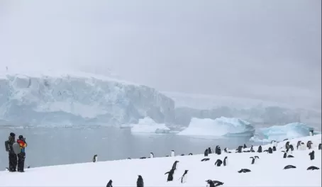 Classic Antarctic Scenery