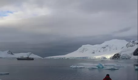 Peaceful Moment in Antarctica