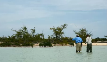 Searching for bonefish in the Bahamas