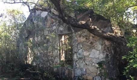 Old abandoned house in the Bahamas