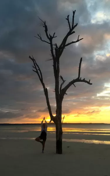 Tree pose on the beach
