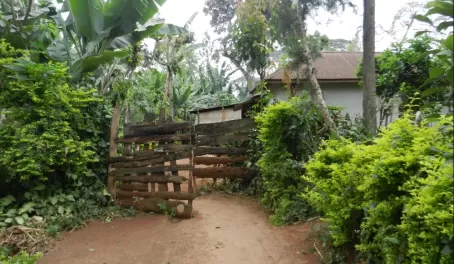 The entrance to our host's coffee farm