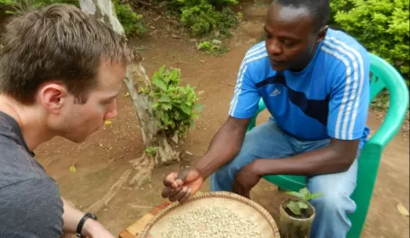Jos shows us dried coffee beans after they have sat in the sun