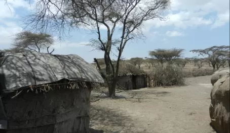 Maasai village of traditional huts