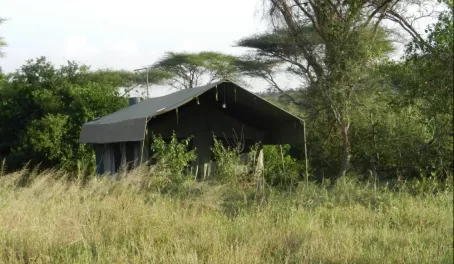 My tent at Serengeti Halisi Tented Camp