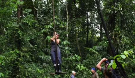 Tarzan swing in the Amazon
