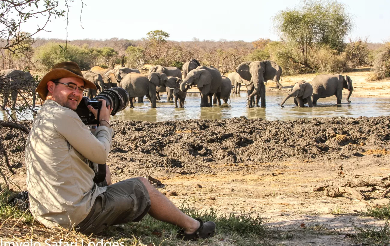 Photographing Elephants on safari