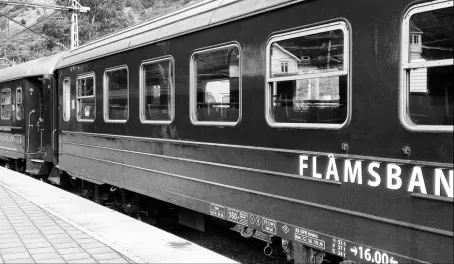 Flam train